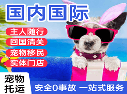 杭州空运国际宠物托运 【国